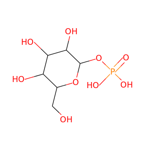 D-galactose 1-phosphate